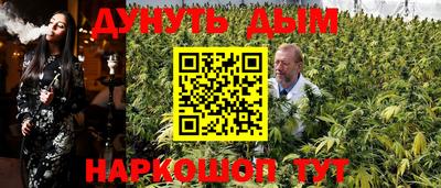 гидра Славгород