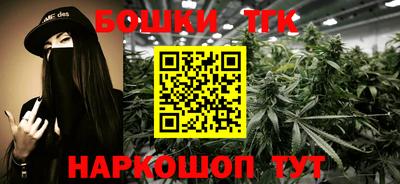 гидра Славгород