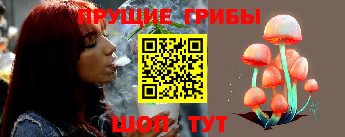 Псилоцибиновые грибы Psilocybine cubensis  наркота  Санкт-Петербург  Вход с VPN 